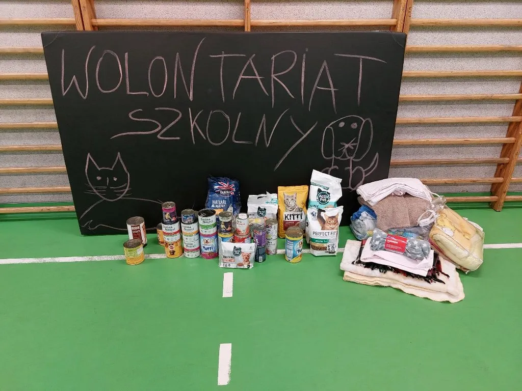 Wolontariat szkolny