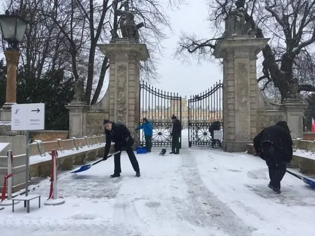 Uczniowie klas ogrodniczych