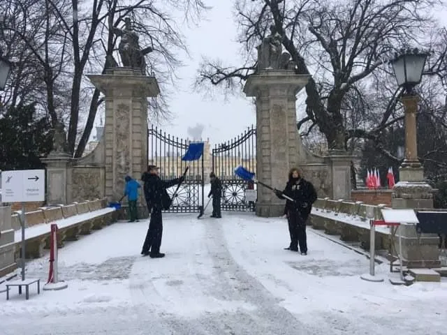 Uczniowie klas ogrodniczych