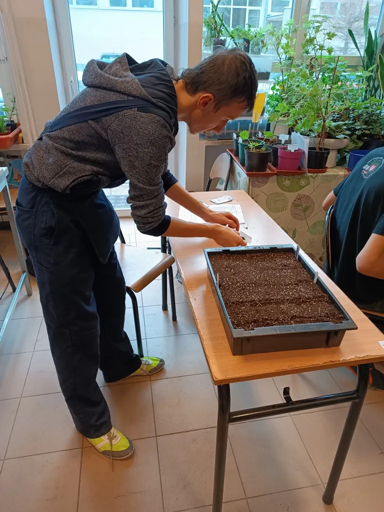 Próbny egzamin praktyczny w klasie IIIw