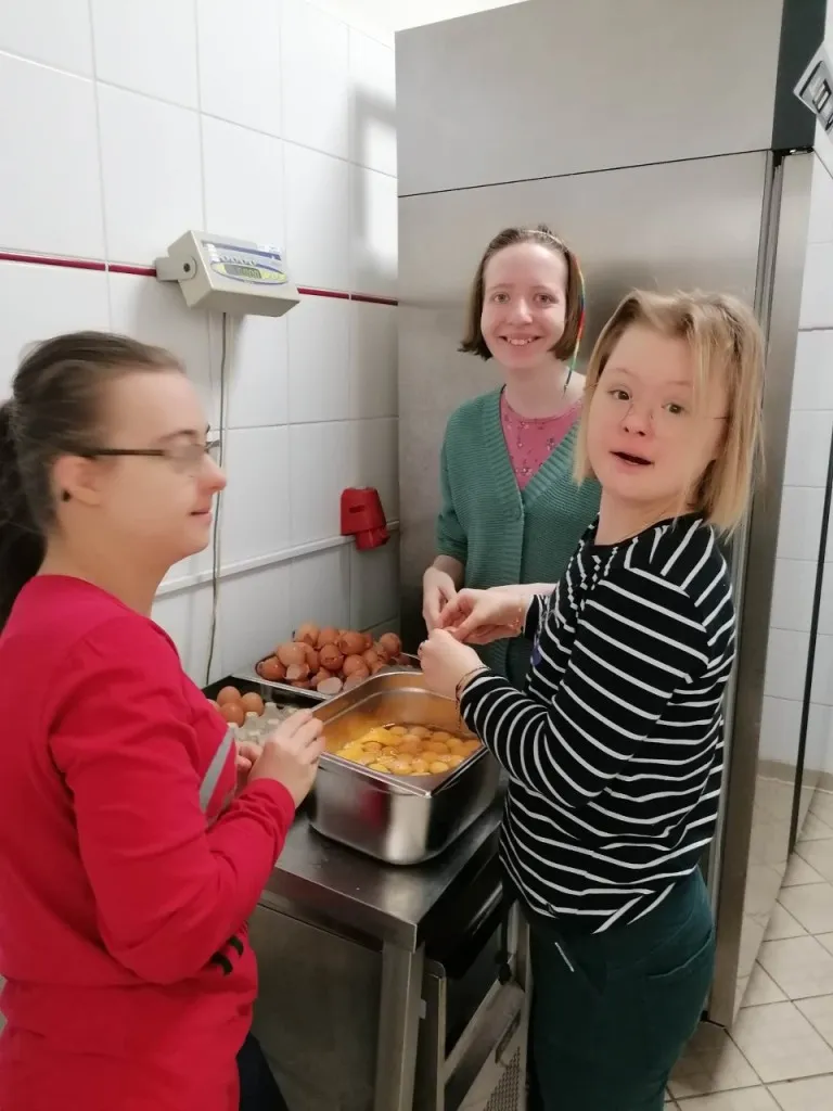 Praktyki wspomagane w hotelu Ibis Centrum