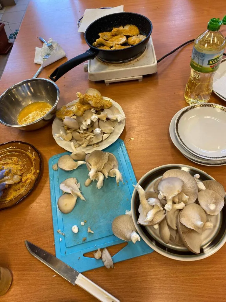 Nasi ogrodnicy poznali tajniki uprawy grzybów boczniaków
