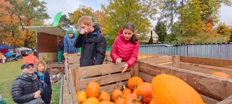 Święto dyni