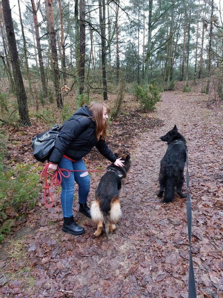 Wolontariat szkolny