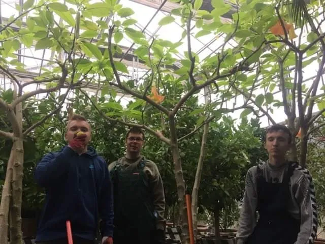 Uczniowie klas ogrodniczych