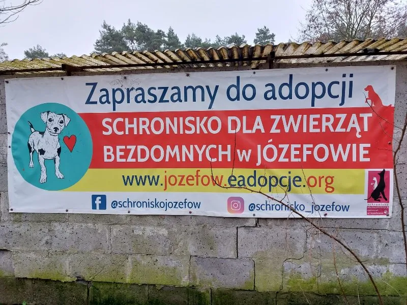 Wolontariat szkolny