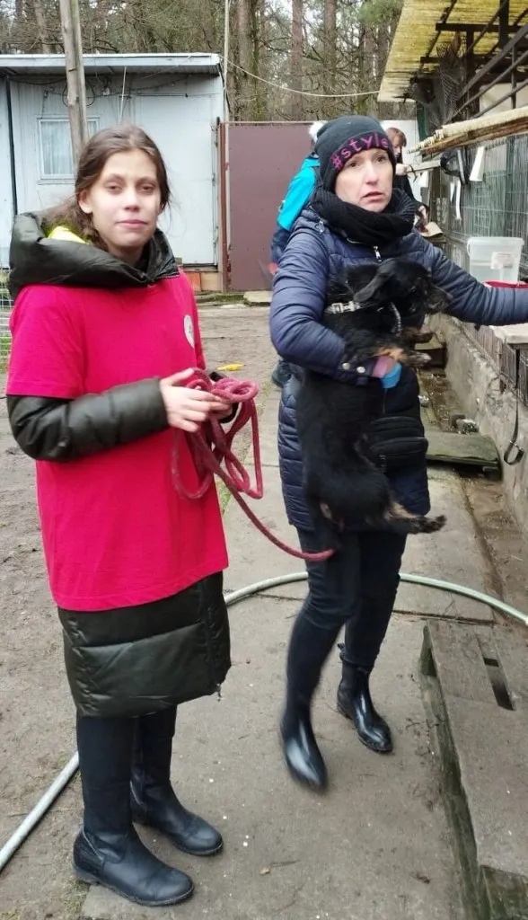 Wolontariat szkolny