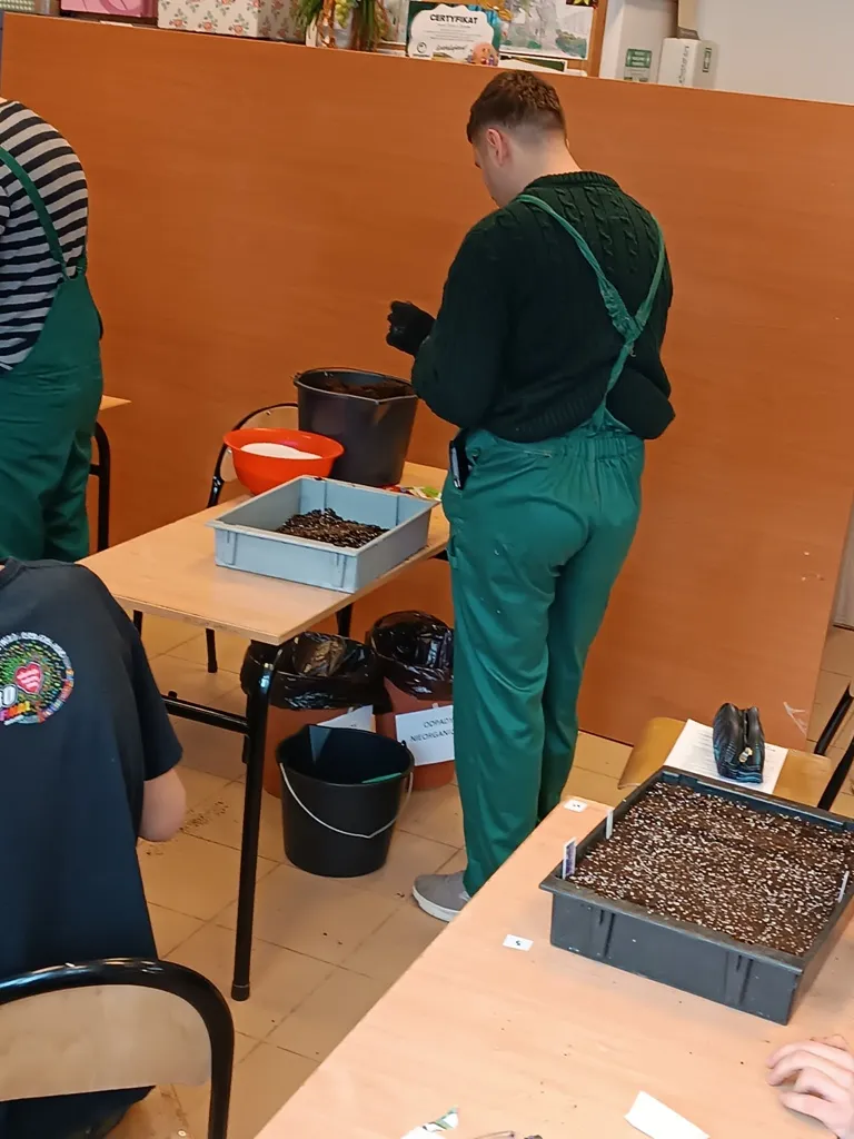 Próbny egzamin praktyczny w klasie IIIw