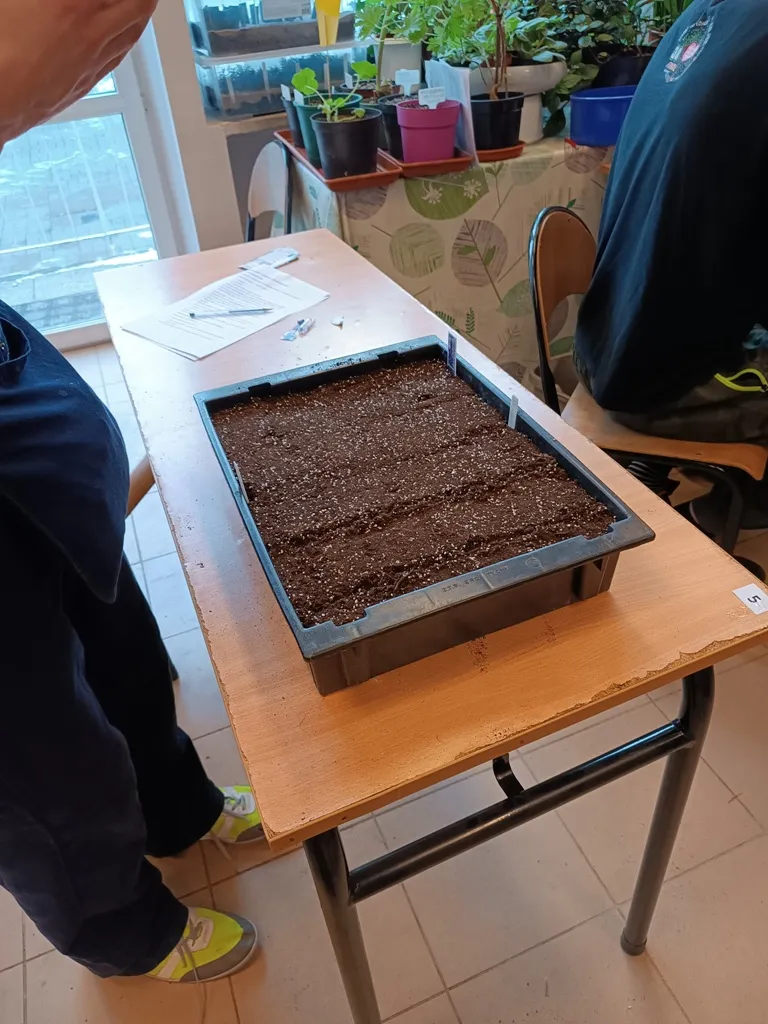 Próbny egzamin praktyczny w klasie IIIw