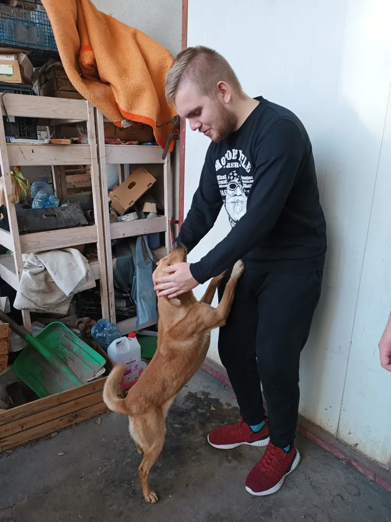 Wycieczka do sadu