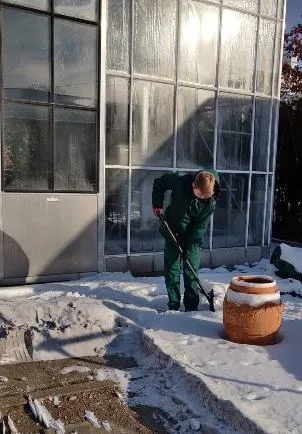 Uczniowie klas ogrodniczych