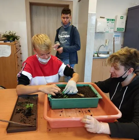 Uczniowie klas ogrodniczych