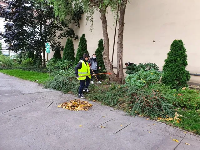 Prace ogrodnicze