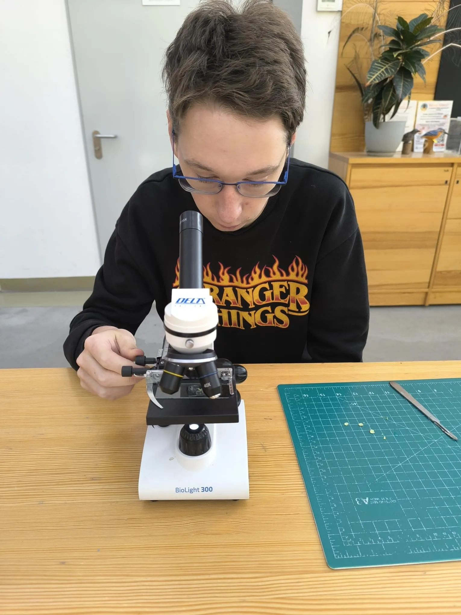 "W łazienkowskim mikroświecie" 