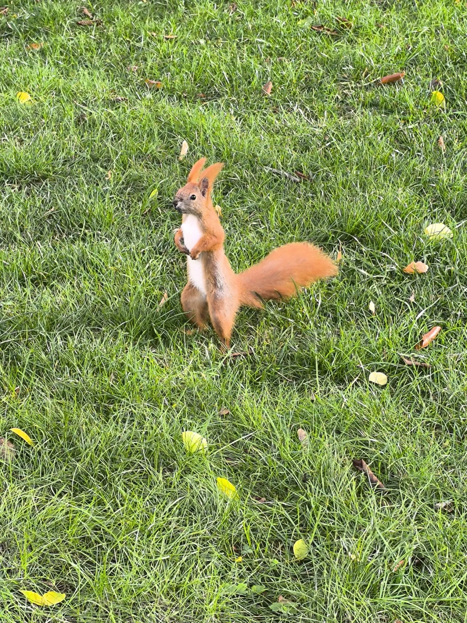 "W łazienkowskim mikroświecie" 