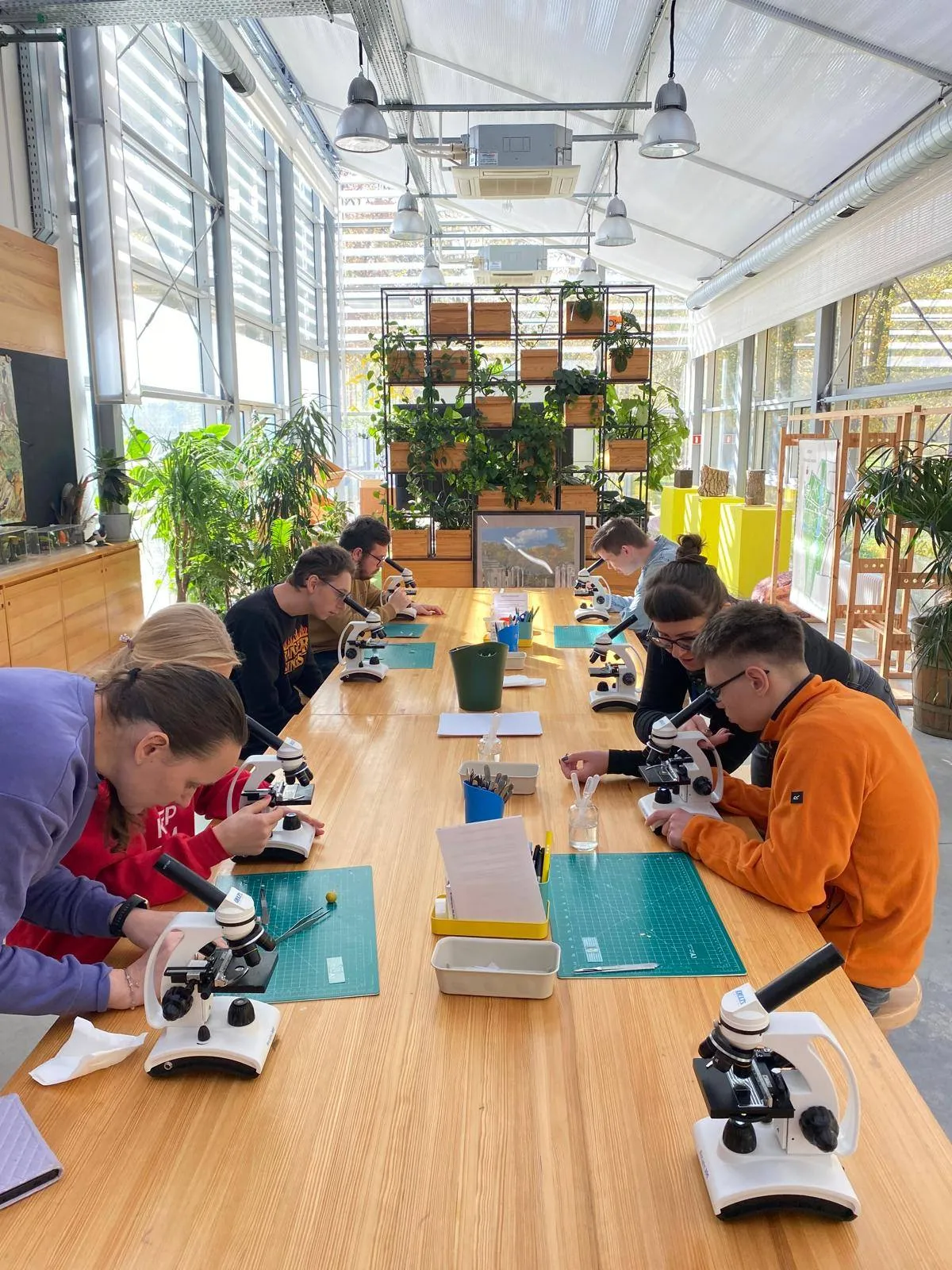 "W łazienkowskim mikroświecie" 