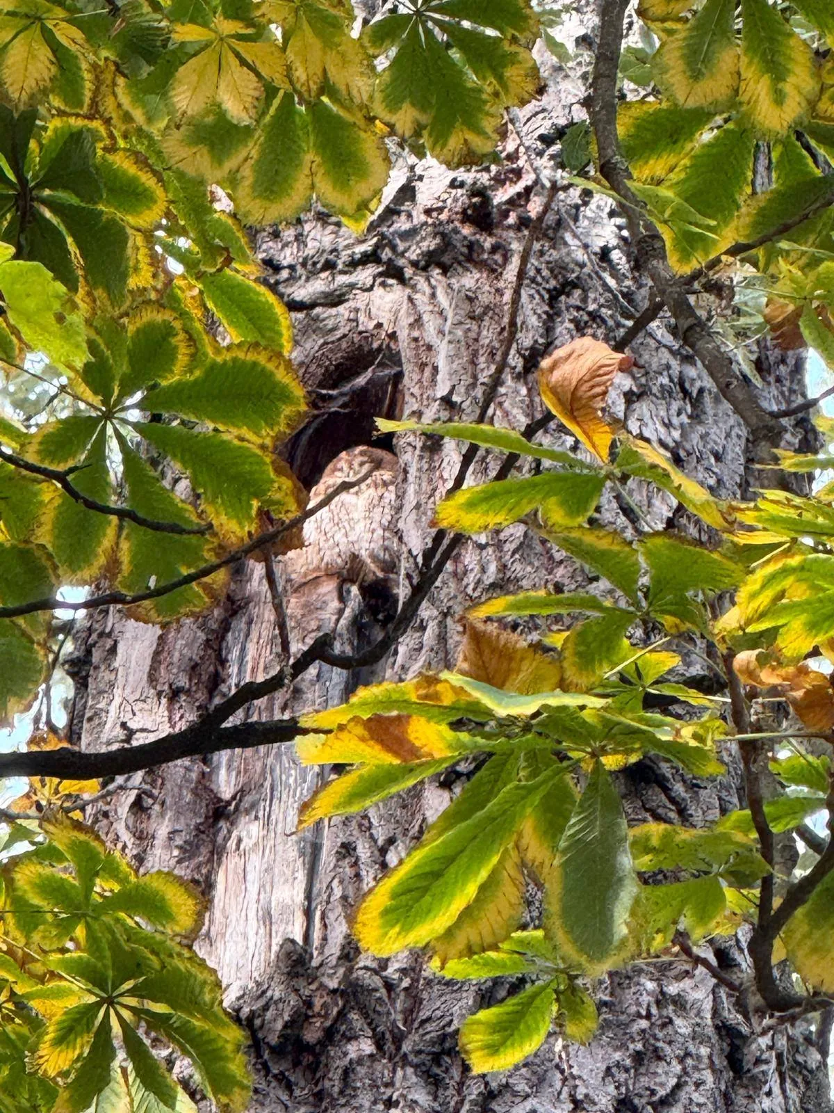 "W łazienkowskim mikroświecie" 