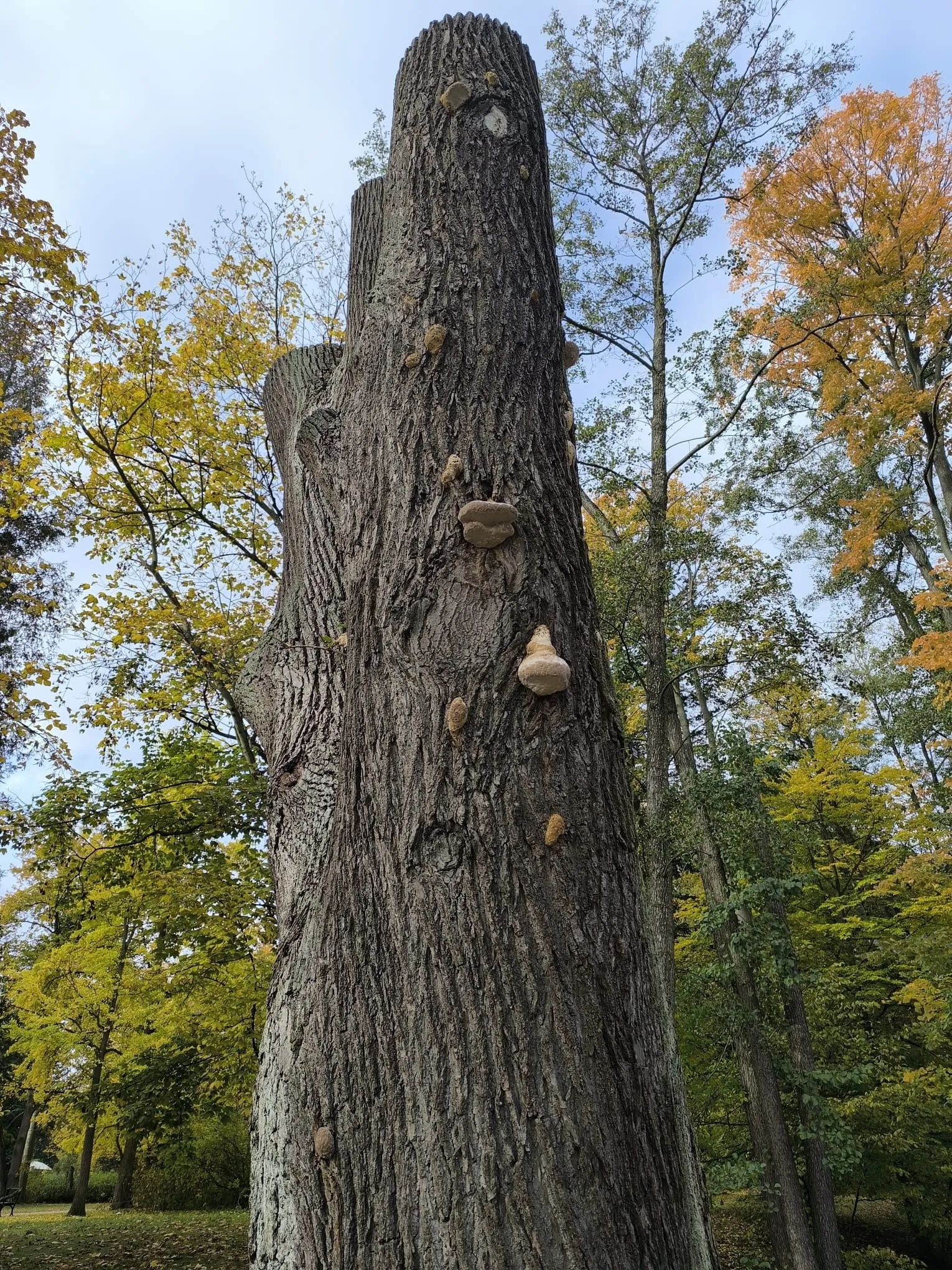 "W łazienkowskim mikroświecie" 