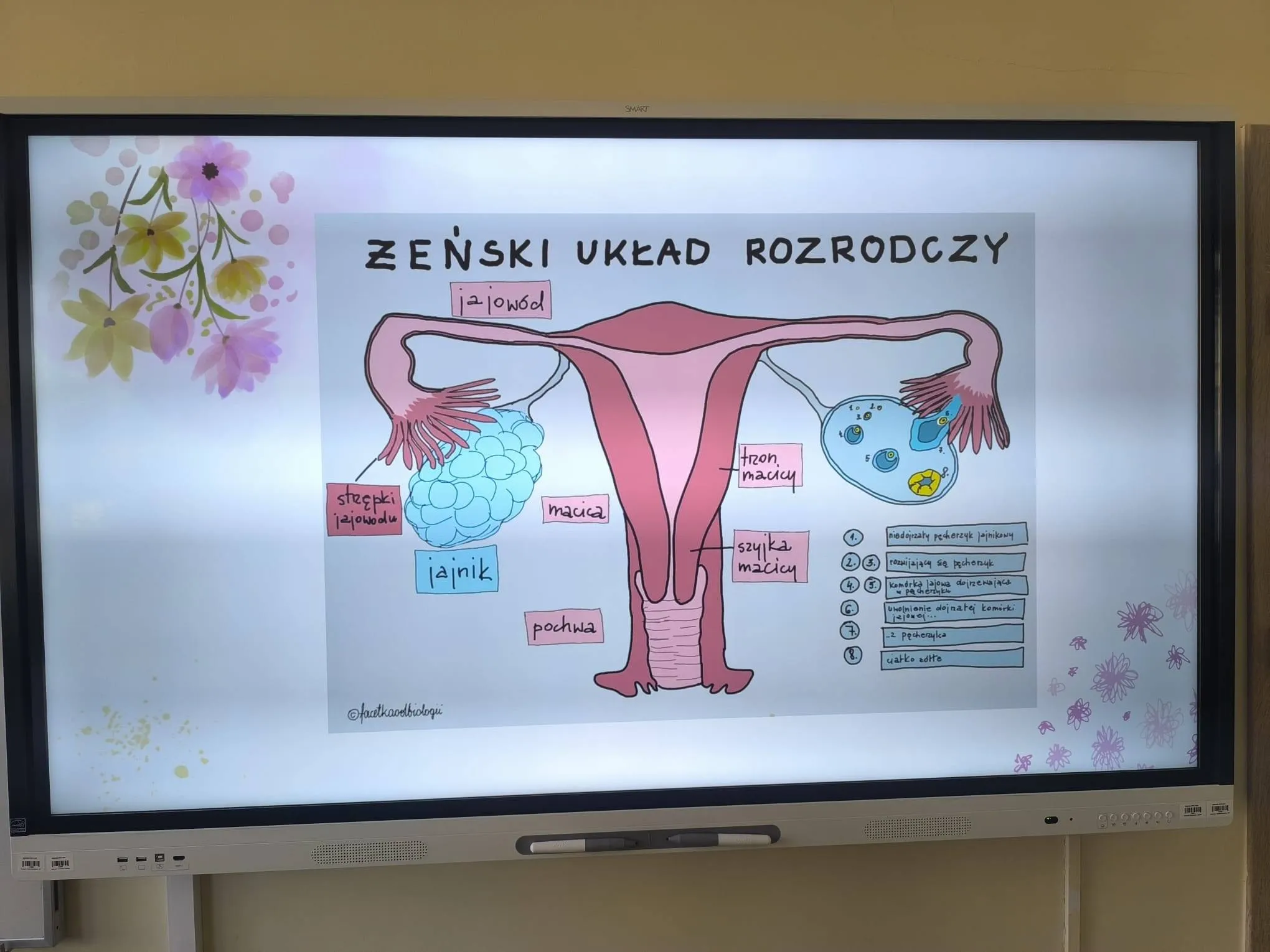 Warsztaty menstruacyjne