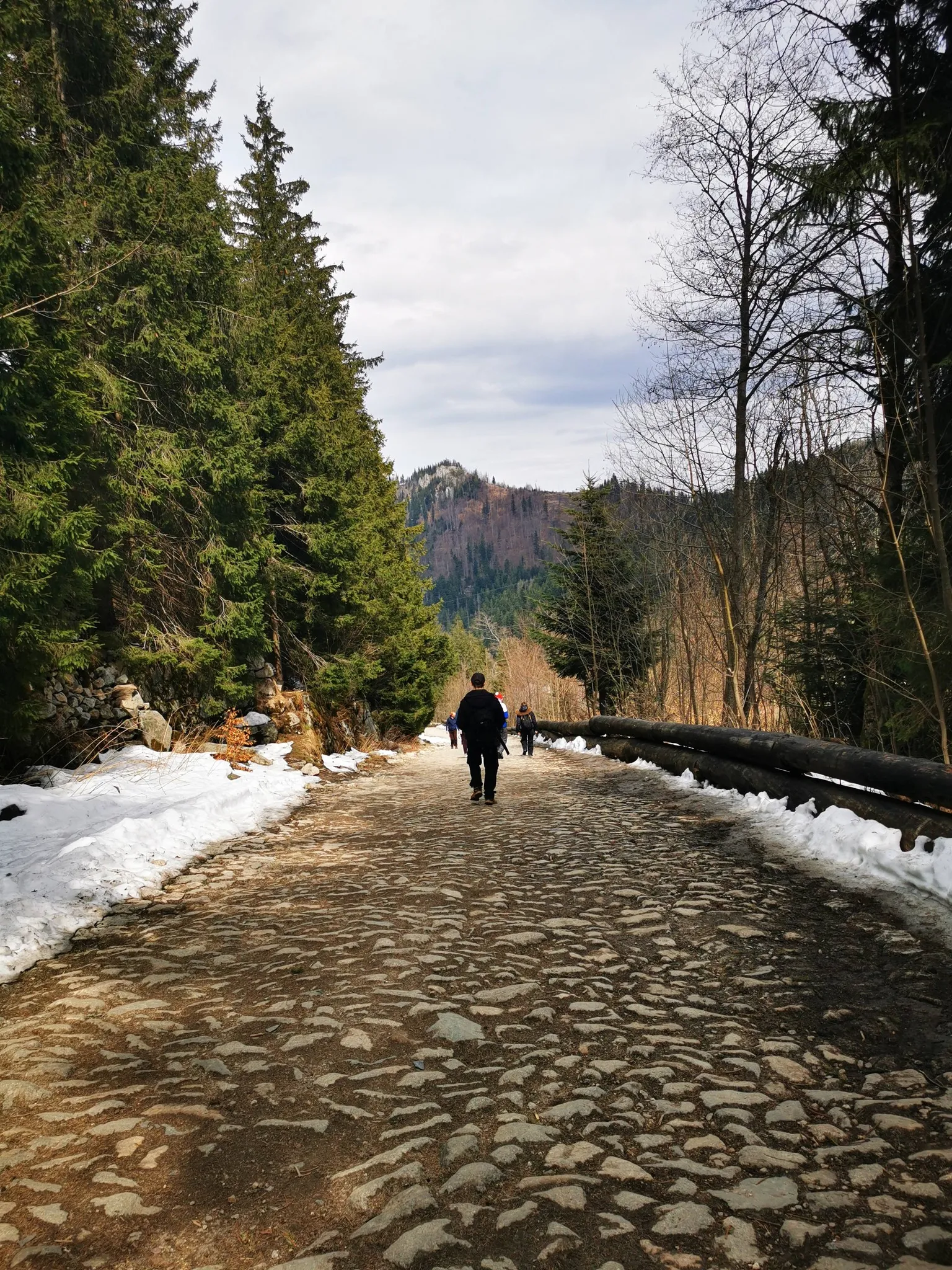 Tatry