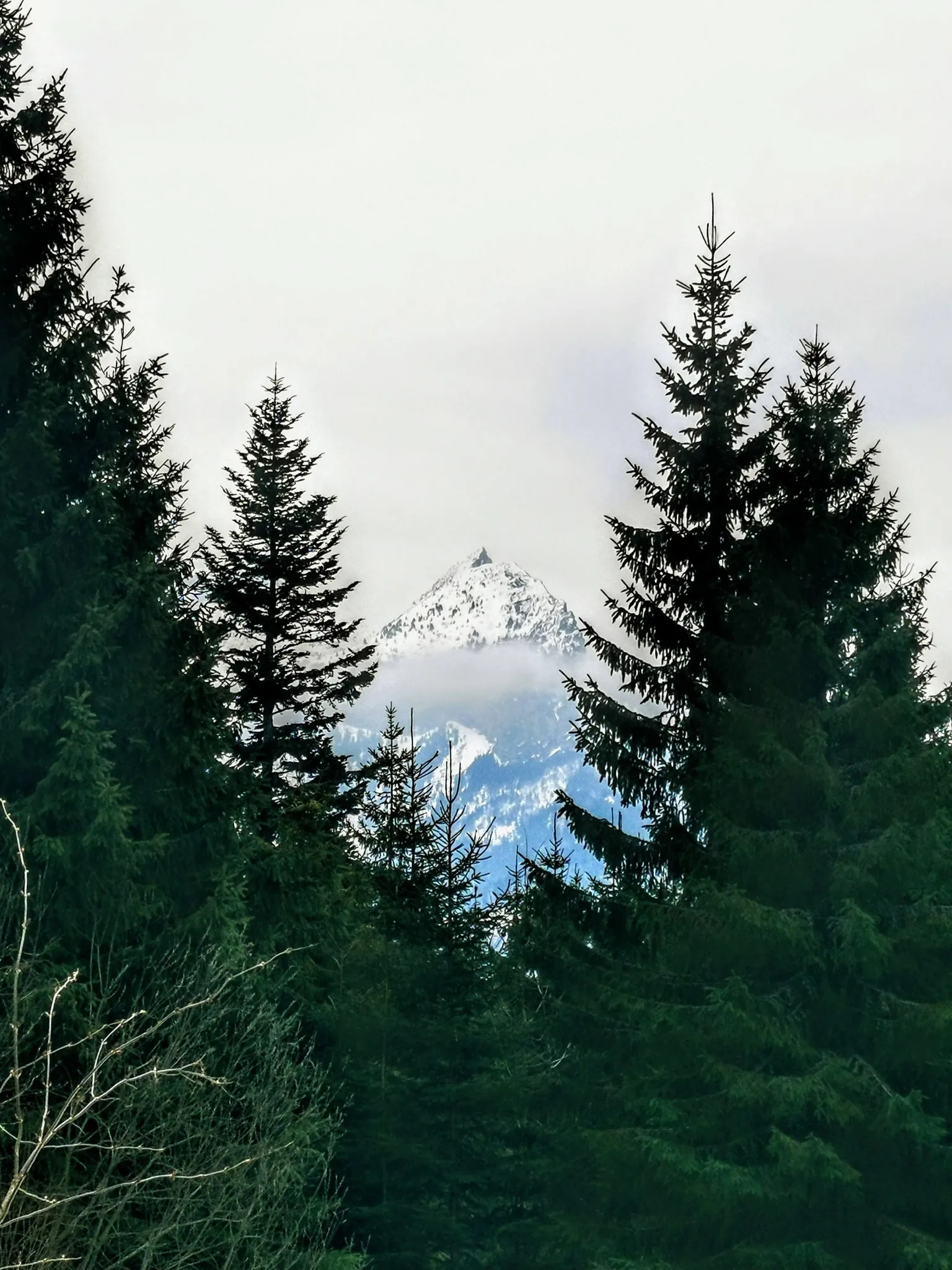 Tatry