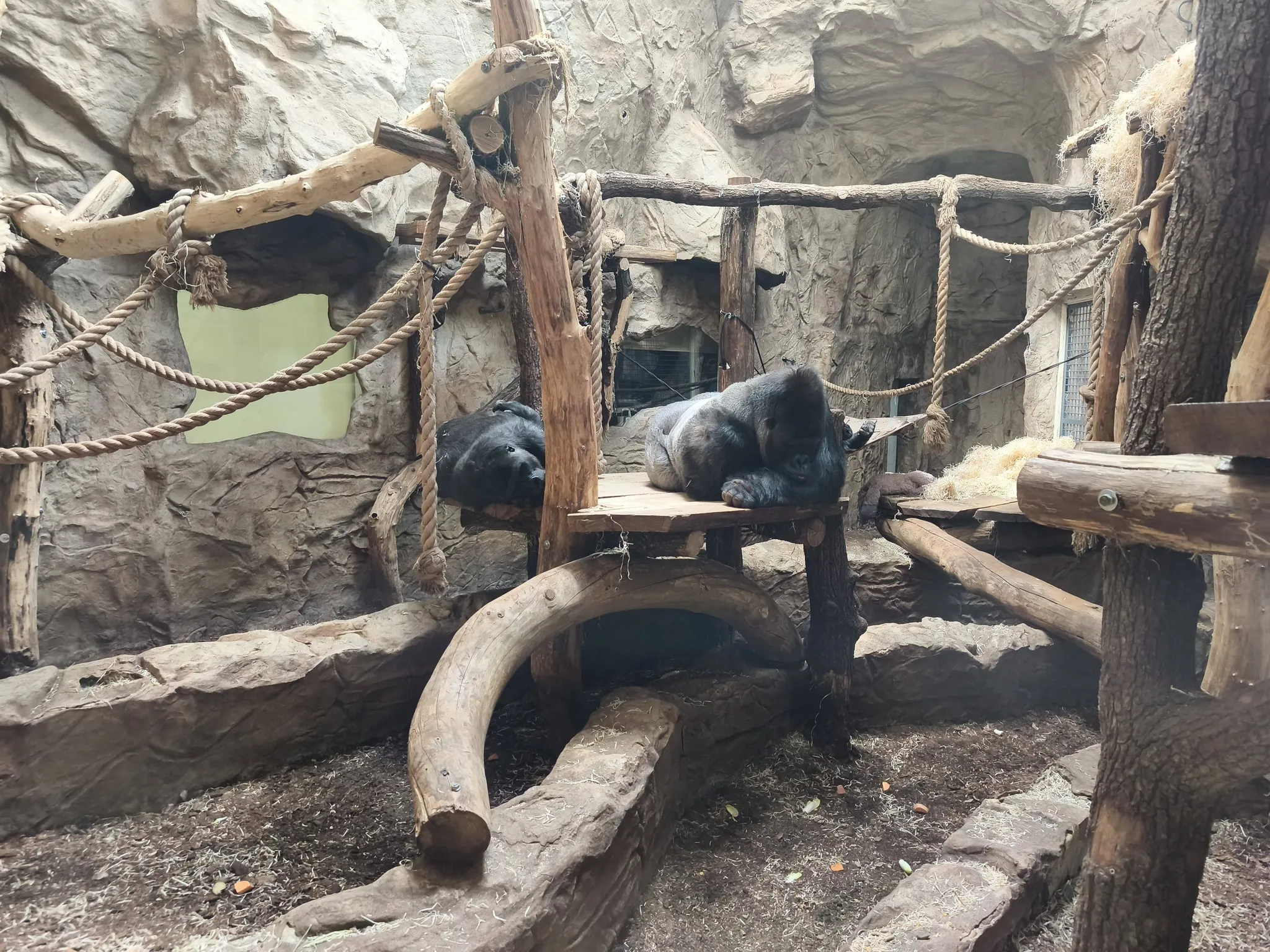 zoo