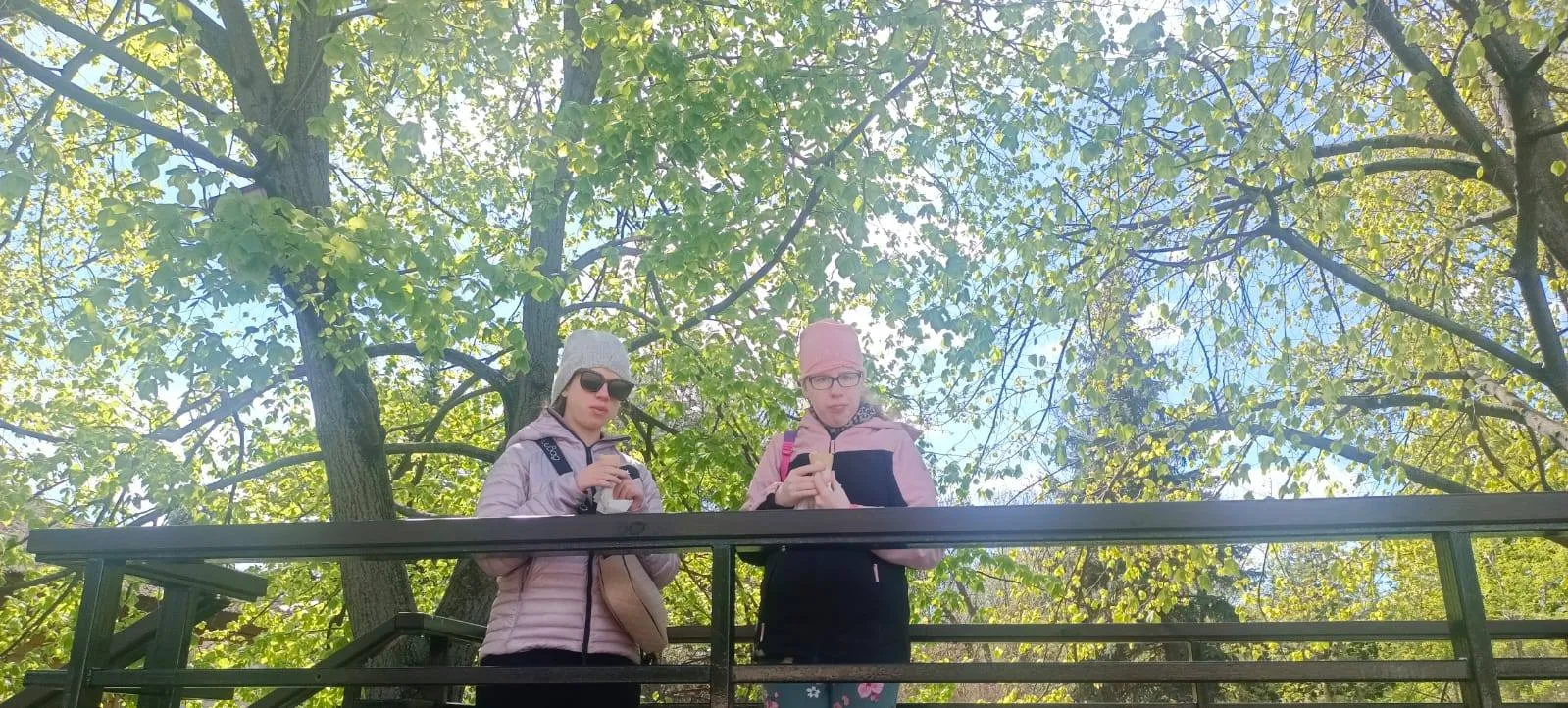 zoo