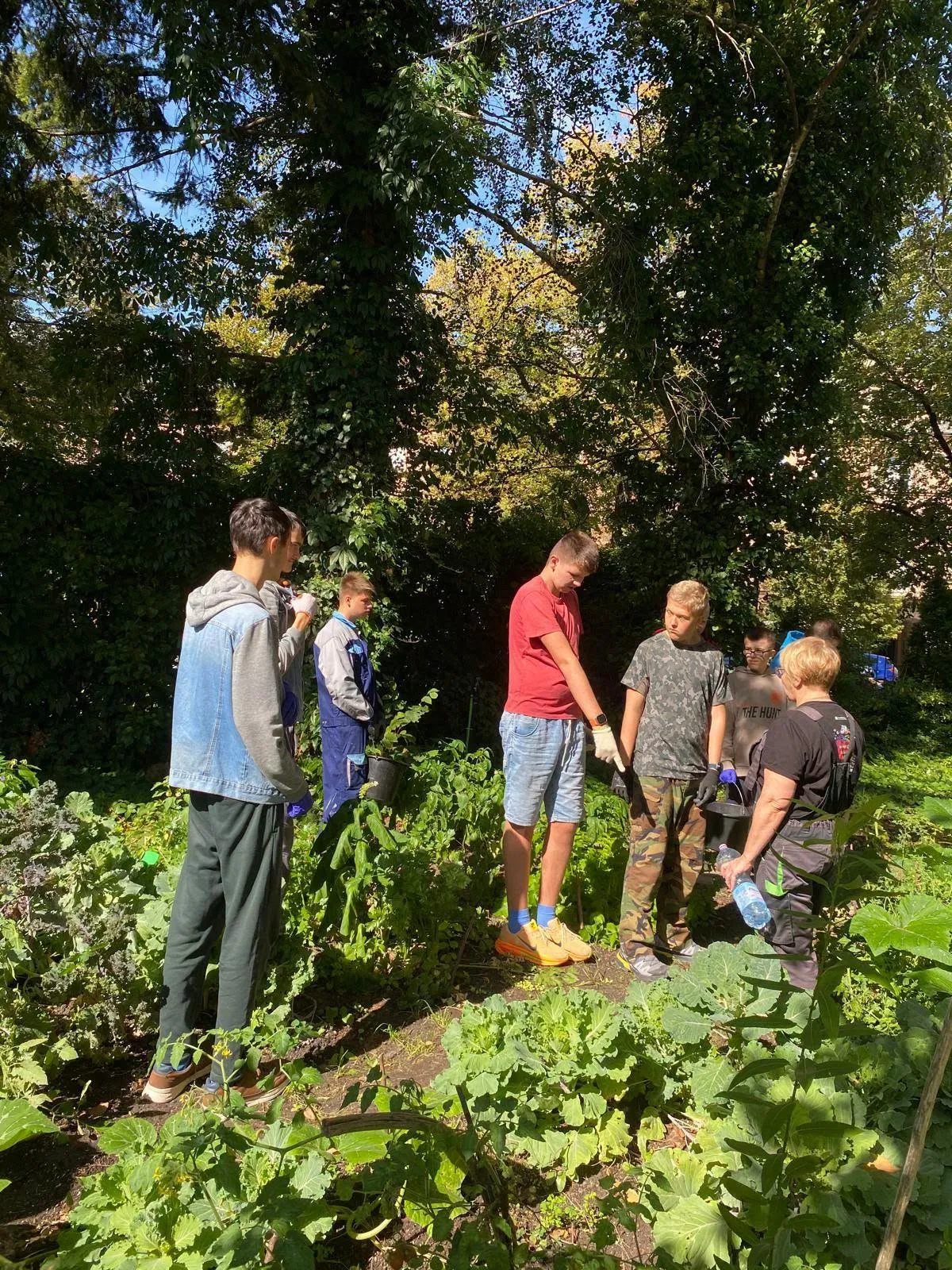 ogród